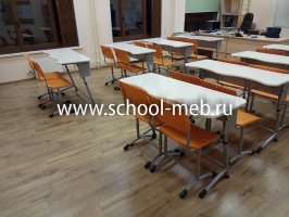 premera-2r-dvuhmestnaya-parta-s-ekranom-i-polochkoy3