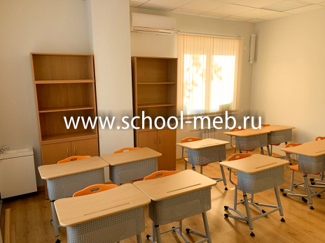 premera-perfo-1r-odnomestnaya-parta-s-perforatsiey3