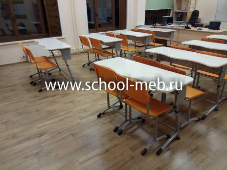 premera-2r-perfo-dvuhmestnaya-parta-s-ekranom5 premera-2r-perfo-dvuhmestnaya-parta-s-ekranom5