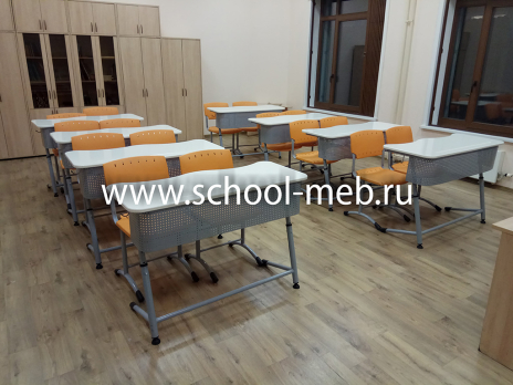 premera-2r-perfo-sinyaya-dvuhmestnaya-parta-s-perforatsiey-i-polochkoy2 premera-2r-perfo-sinyaya-dvuhmestnaya-parta-s-perforatsiey-i-polochkoy2