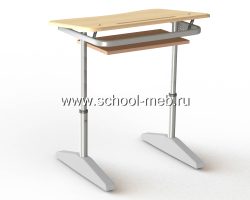 nova-odnomestnaya-parta-s-polochkoy-i-uglom-naklona