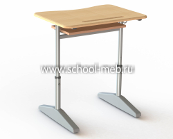 nova-odnomestnaya-parta-s-polochkoy