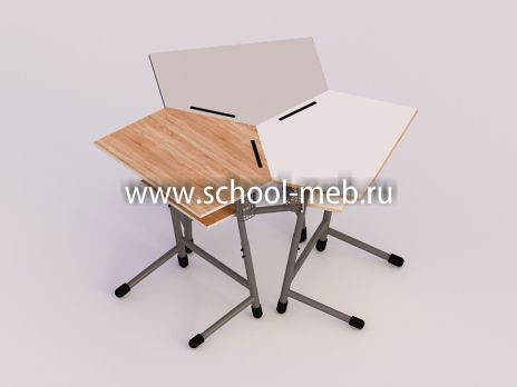 premera-d-odnomestnaya-parta-s-polochkoy-pyatiugolnik2